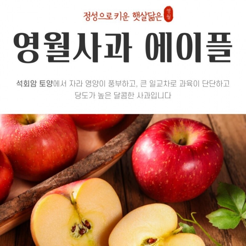 농업회사법인 강원파머스(주),[설명절]영월사과 에이플 명품 햇부사 5kg[GAP]