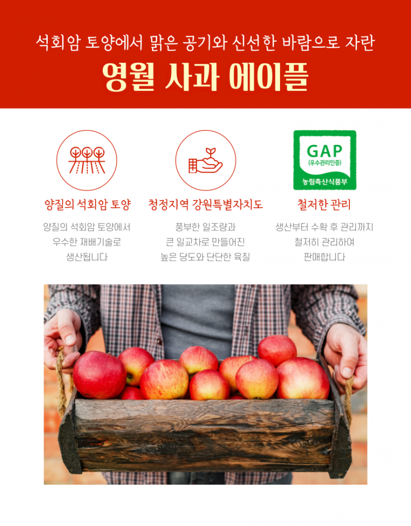 농업회사법인 강원파머스(주),[설명절]영월사과 에이플 명품 햇부사 5kg[GAP]