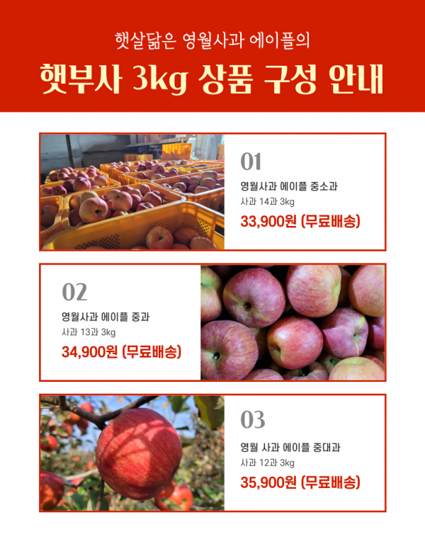 농업회사법인 강원파머스(주),영월사과 에이플 명품 햇부사 3kg[GAP]