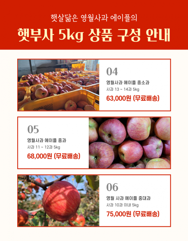 농업회사법인 강원파머스(주),[설명절]영월사과 에이플 명품 햇부사 5kg[GAP]