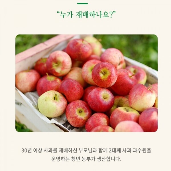 농업회사법인 강원파머스(주),햇살닮은 마시는 영월사과 원물 100% NFC착즙 사과즙